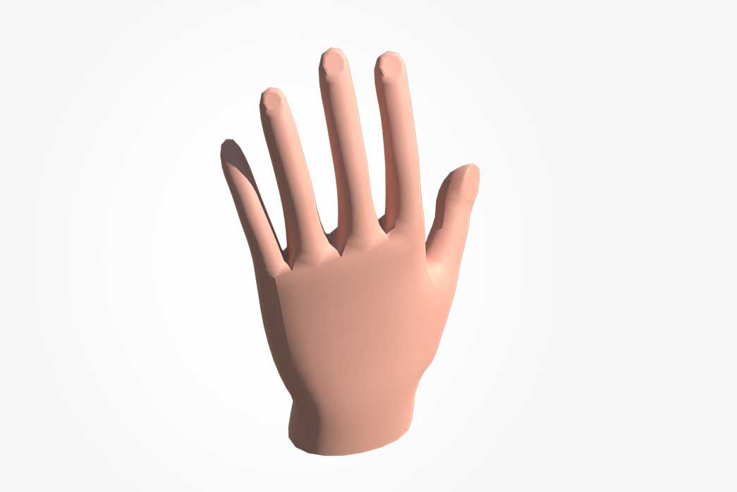 human hand 3d model, 3d human hand, 3d anatomy, cartoon human hand model, 3d hand,